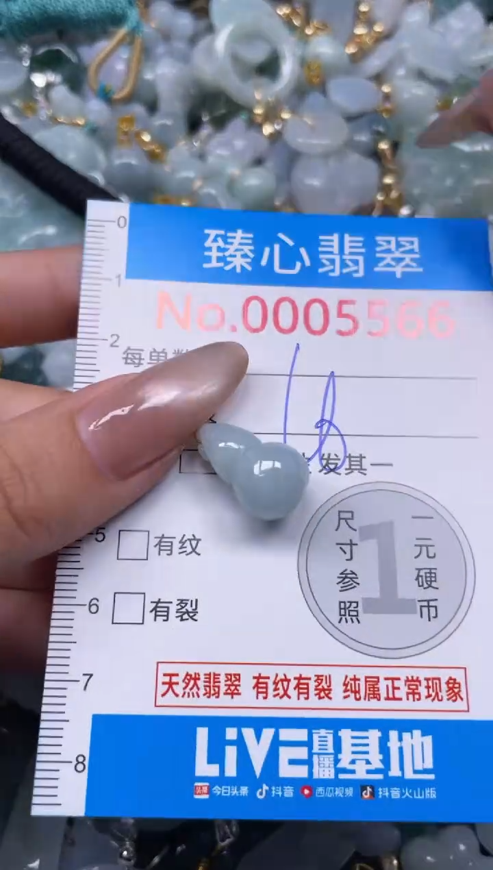 颈饰未镶嵌翡翠5566