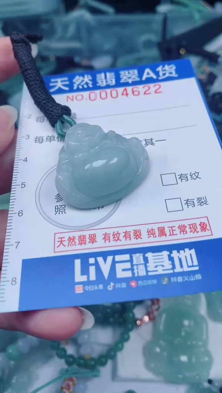 颈饰未镶嵌翡翠00004622