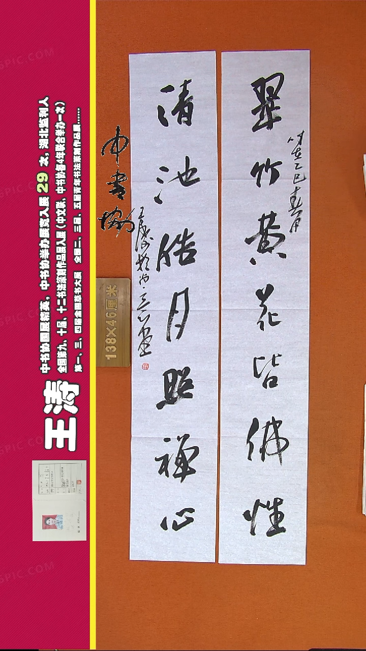 【闪购商品】书法362C王涛书法作品