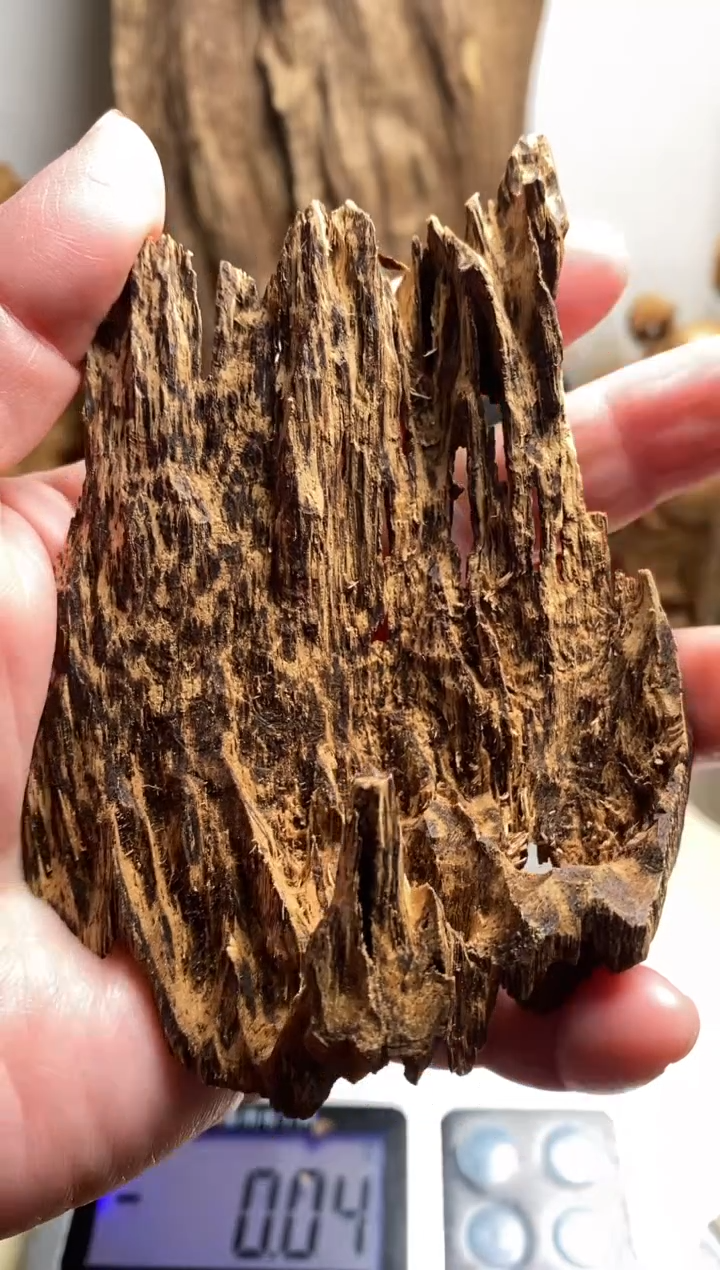 【闪购商品】沉香手把件文莱沉香原料14克