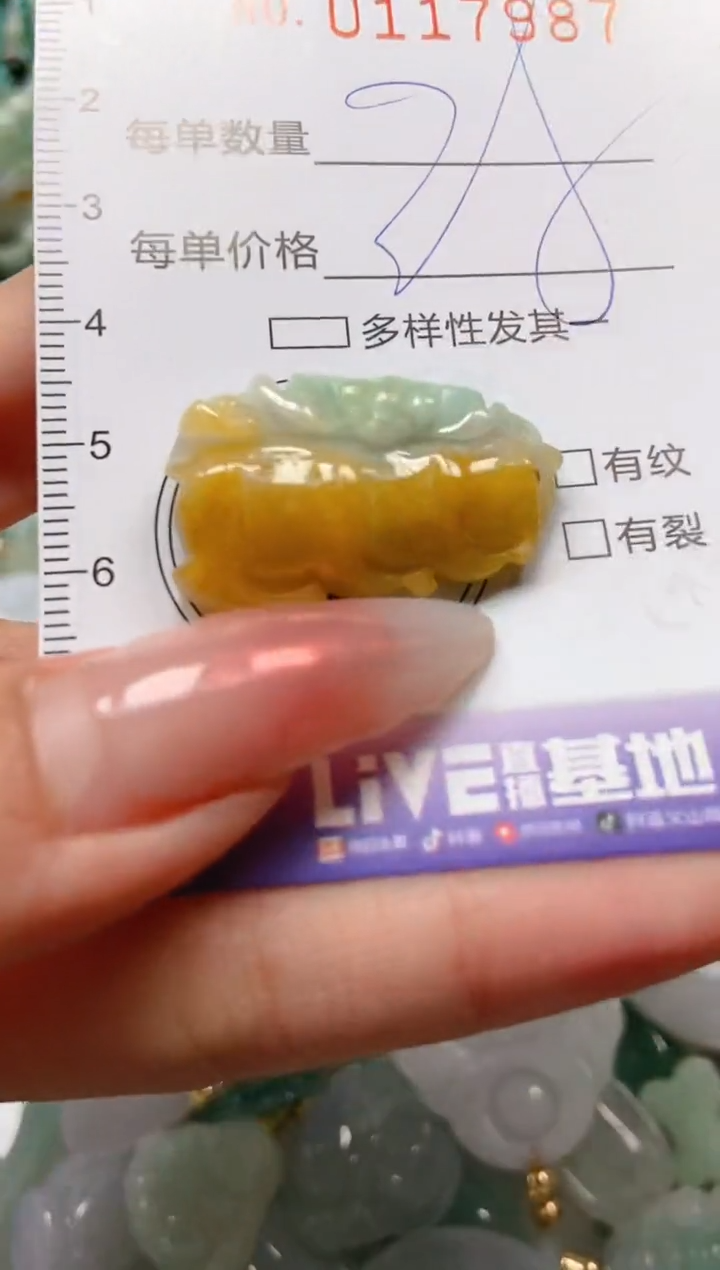 【闪购商品】翡翠颈饰未镶嵌闪购0117987