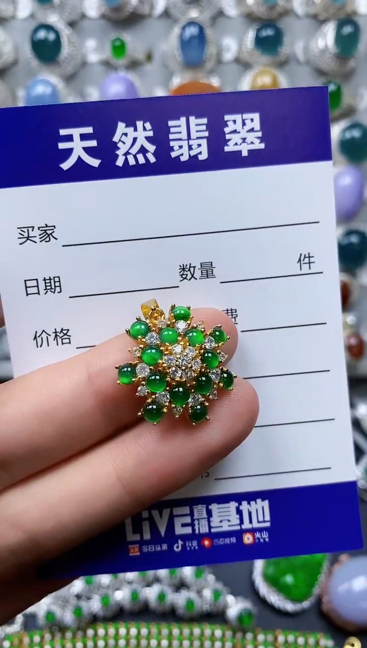 【闪购商品】翡翠颈饰银S925镶嵌0463