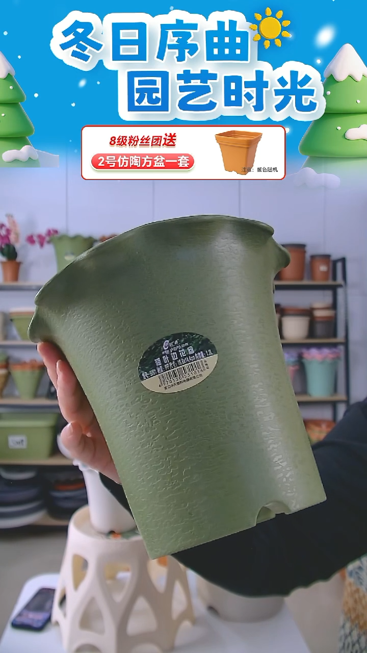 用****3荷叶边5001绿色1套带托盘