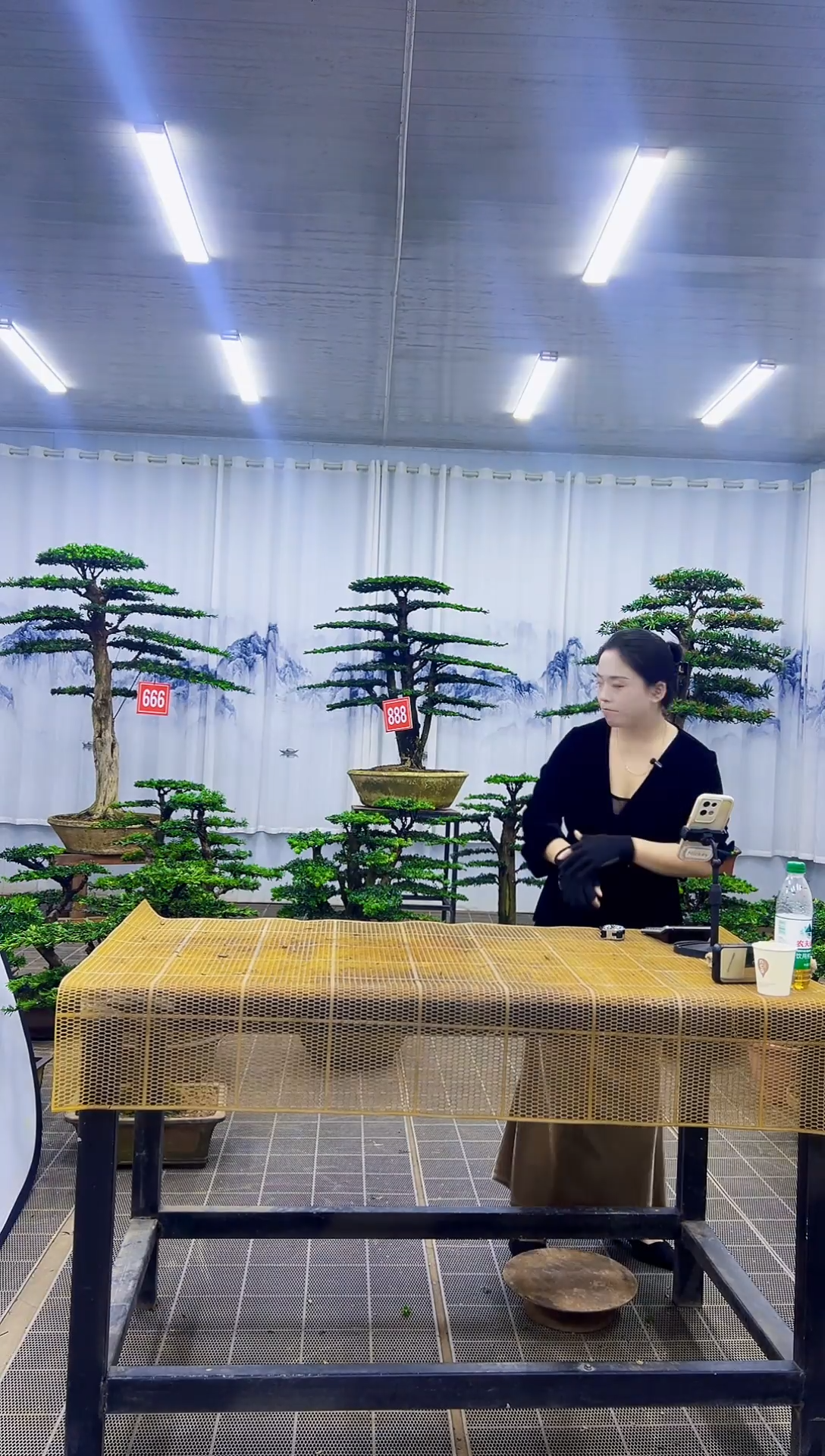 无花朵海**烂00000000000000000