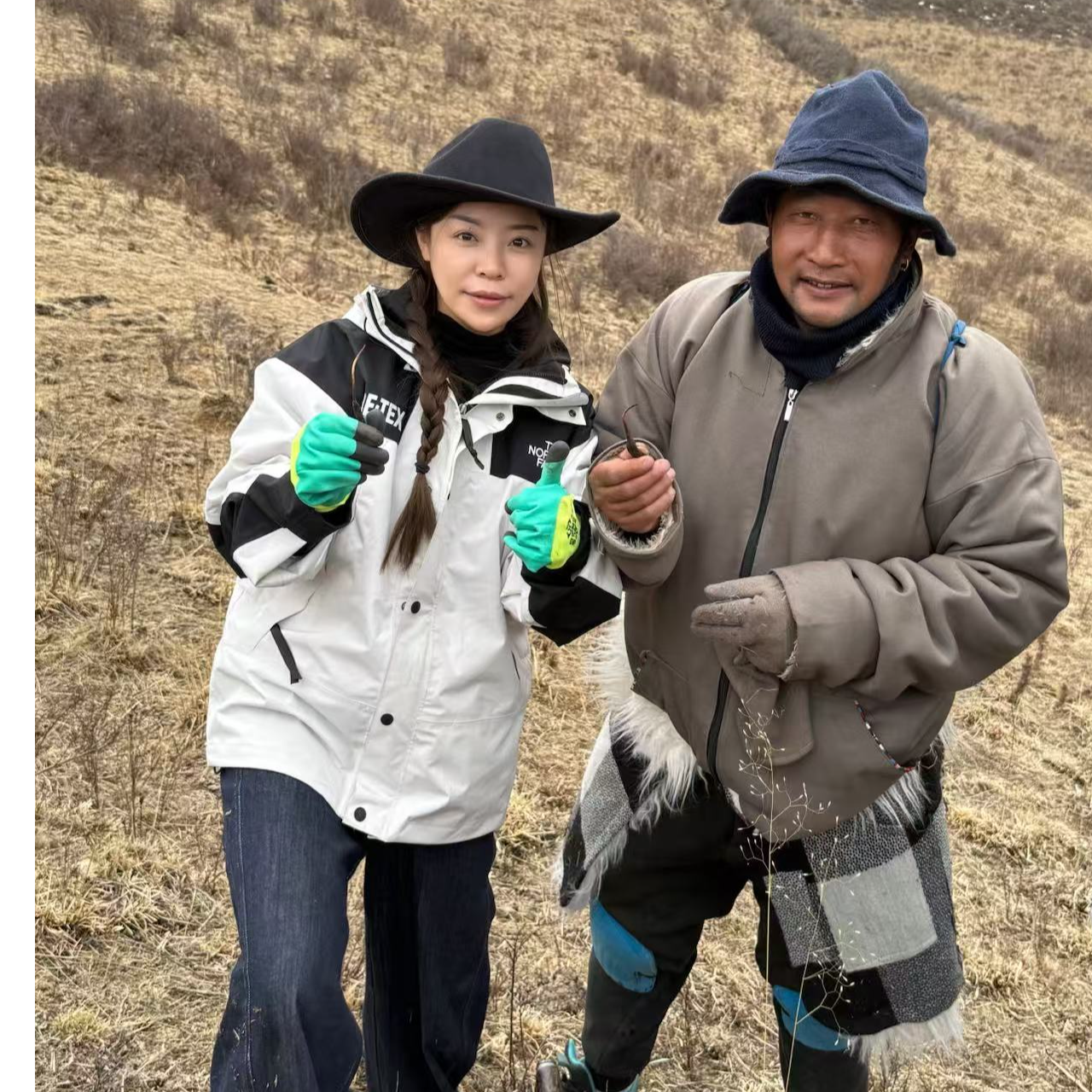  【TT】99藏干  高品质冬虫夏草 虫草2025头期精品干冬虫夏草