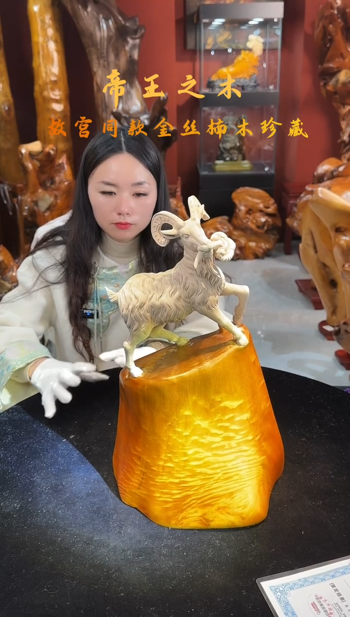 金丝楠灵*金丝楠木随形孤品摆件301