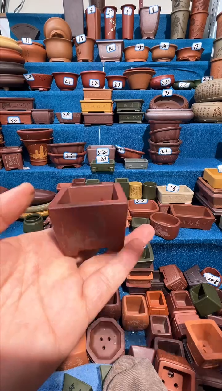 【闪购商品】紫砂紫砂花盆4.5*3.5