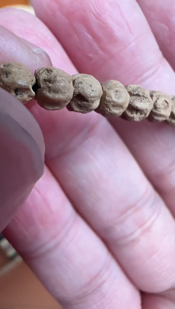 【闪购商品】柏香籽/百香籽吊坠TG1055