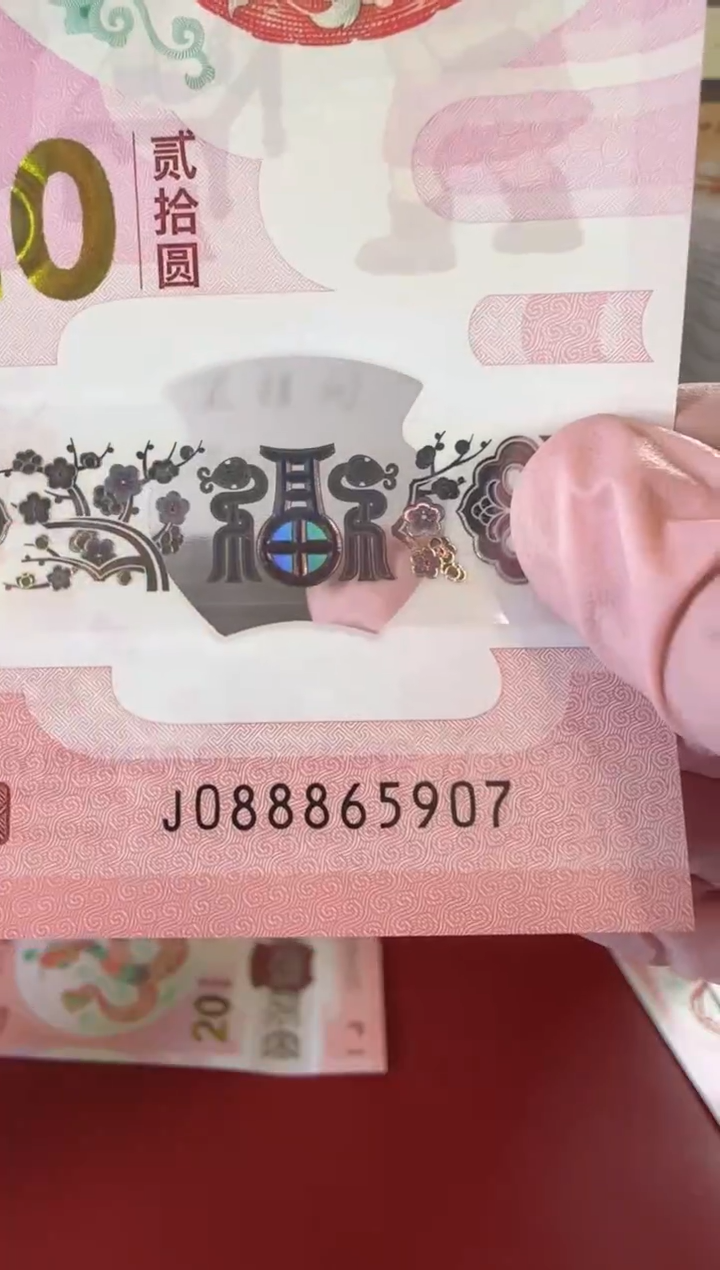 【闪购商品】塑料25蛇钞088865907单张裸