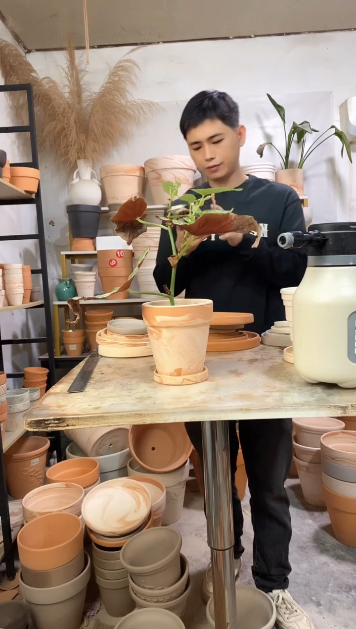 13*13玛奇朵 3盆3托