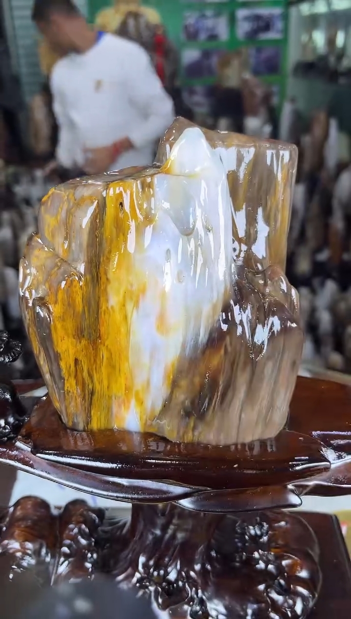 未镶嵌珠宝奇石硅化玉缅甸天然树化玉精品居家摆件