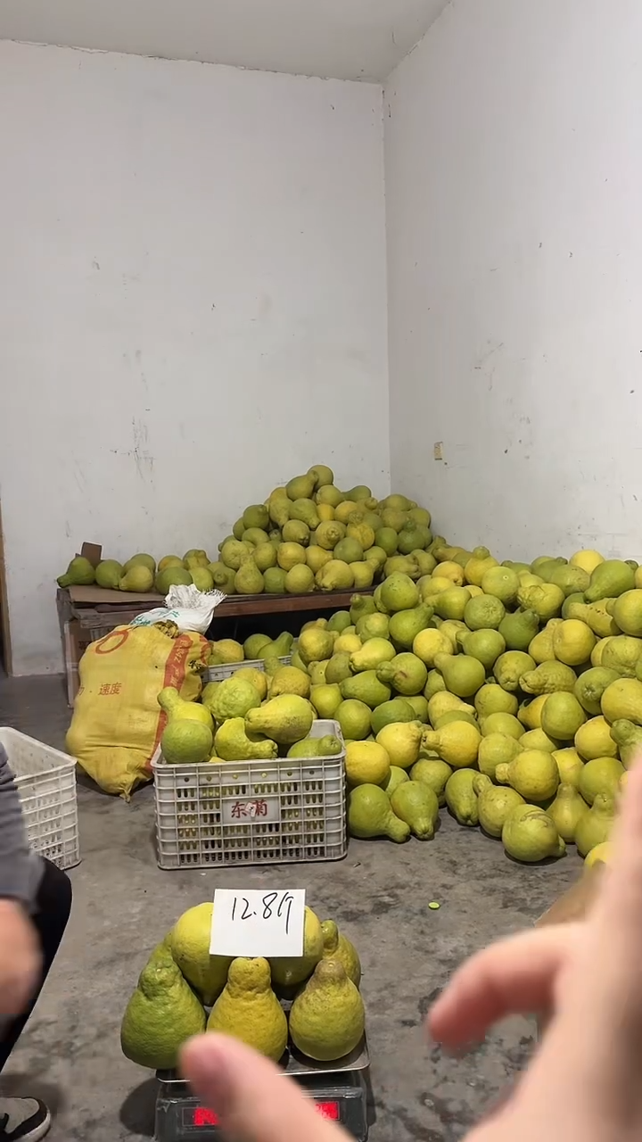 真龙柚正宗长寿邻封沙田柚  花皮果8个  12.8斤 