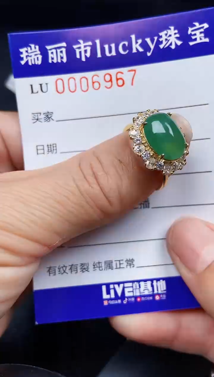 翡翠银S925镶嵌颈饰6967