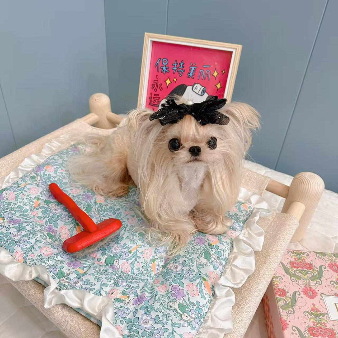 [L027]韩系萌宠约克夏西施马尔济斯宠物狗狗弟弟