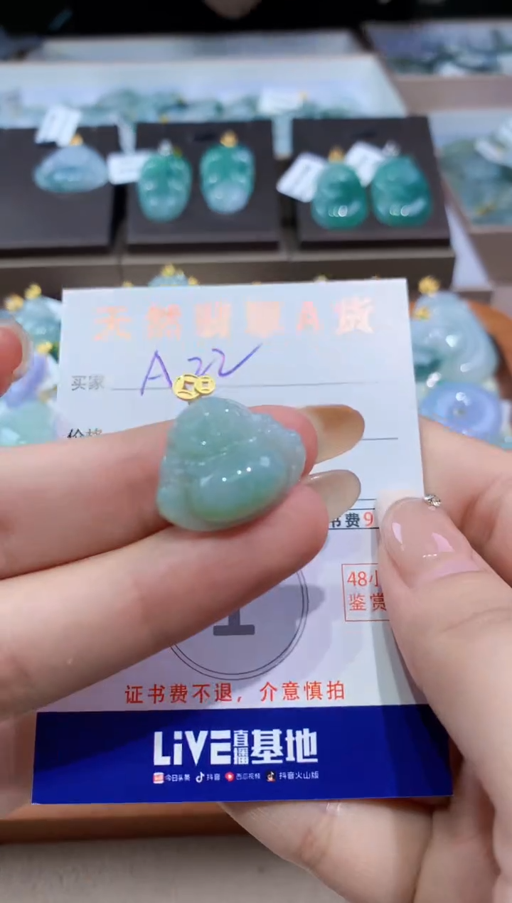 颈饰未镶嵌翡翠天然缅甸翡翠A货挂件 