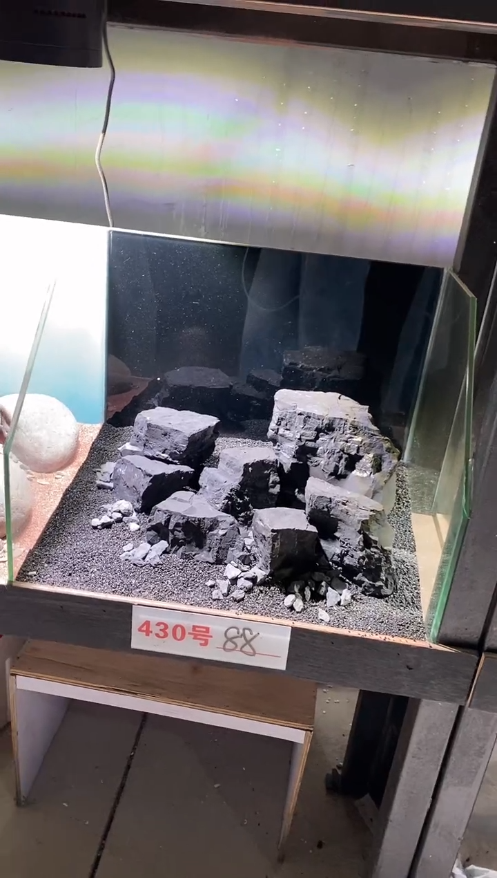430号鱼缸造景（不含底砂）