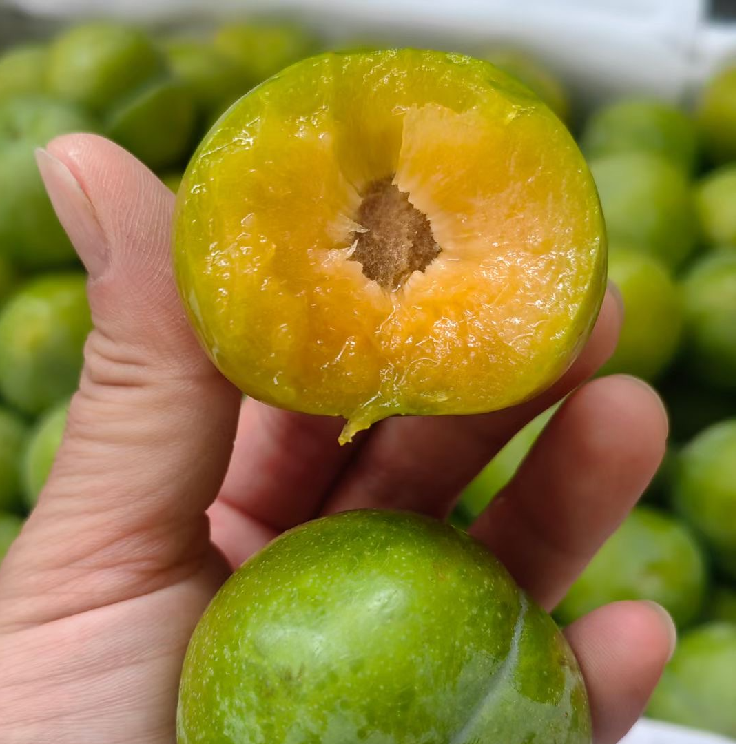【当季】冰糖李（大果，纯甜，脆甜）约500g