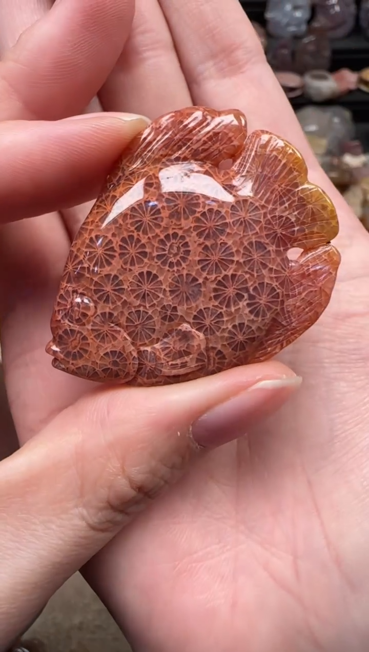 颈饰未镶嵌硅化珊瑚（珊瑚玉）417