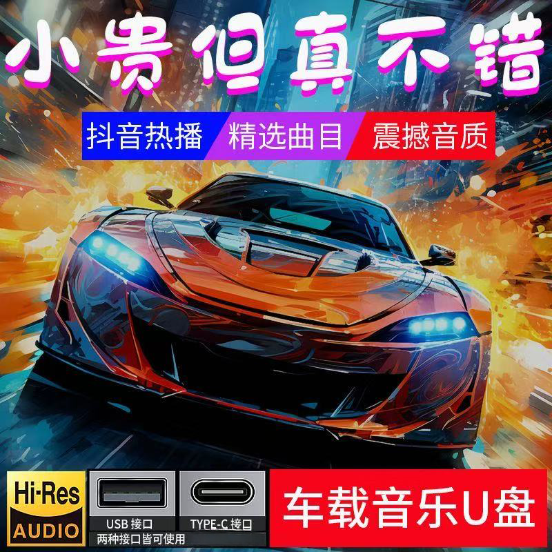【2025至尊款热歌】汽车载u盘歌曲柏林之声无损高品音质车用音乐U盘