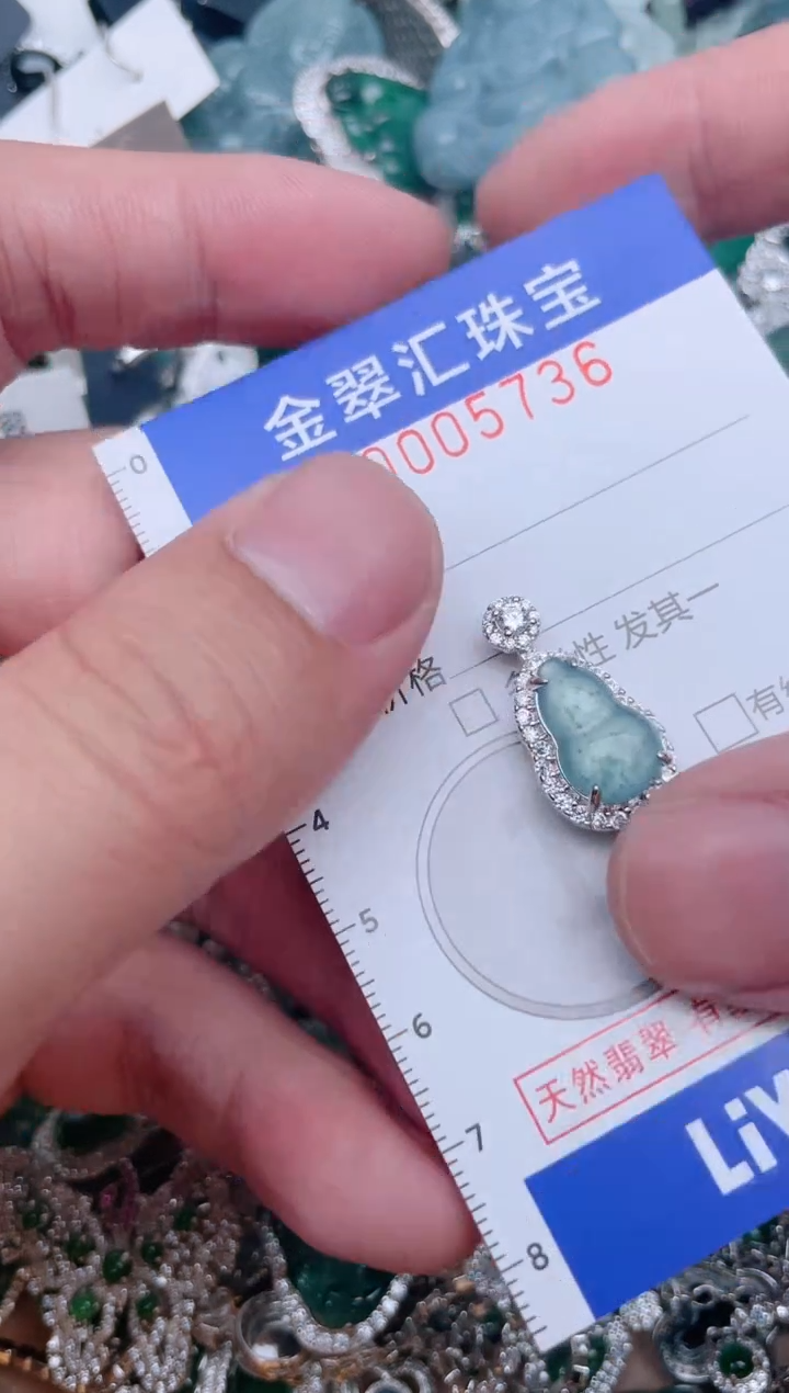 【闪购商品】翡翠颈饰未镶嵌5736......1