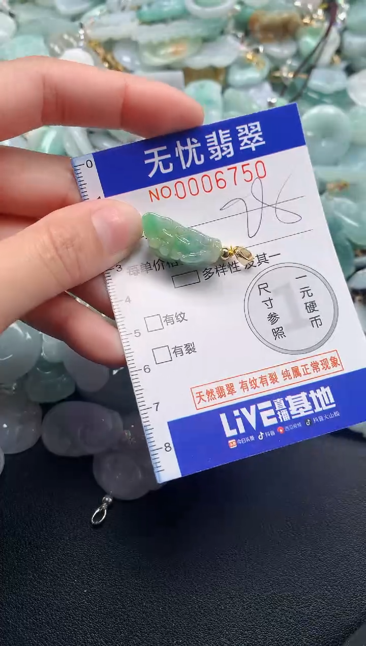 颈饰未镶嵌翡翠6750