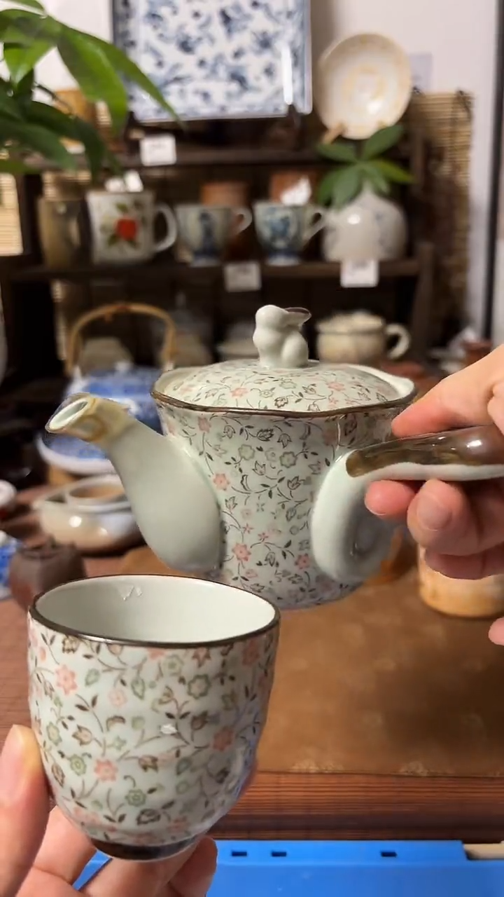 【闪购商品】瓷片喵喵家都是大漂亮