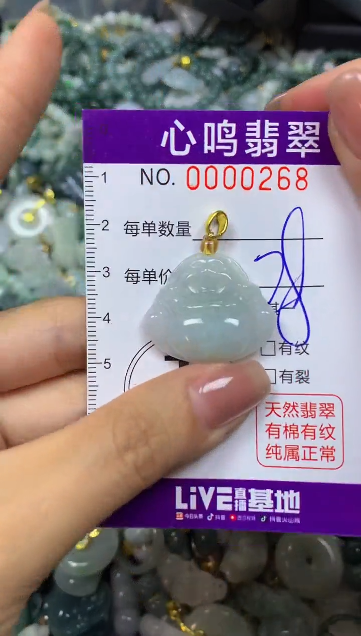 翡翠未镶嵌颈饰闪购00268