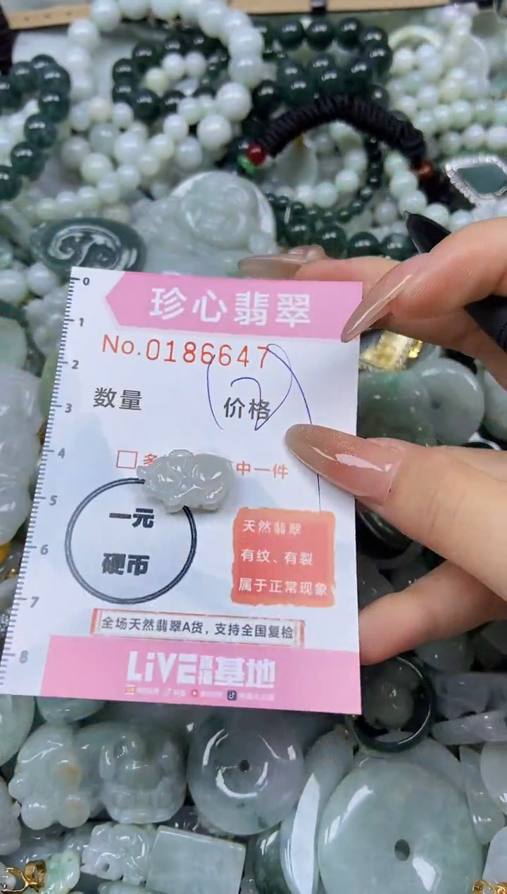 翡翠未镶嵌颈饰闪购链接0186647