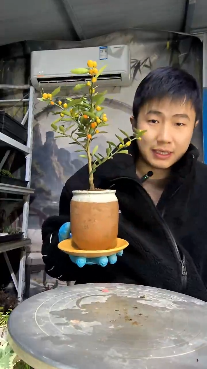 莲*中青园艺一物一拍花126