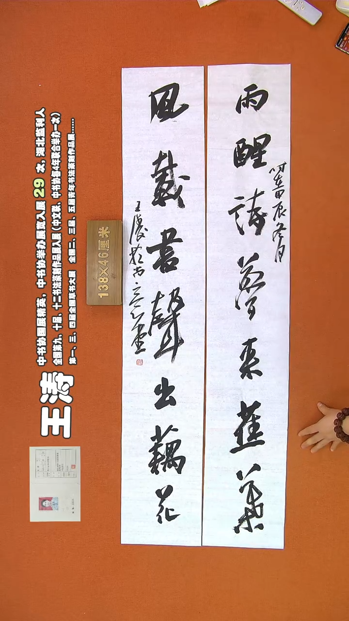 【闪购商品】书法262王涛书法作品