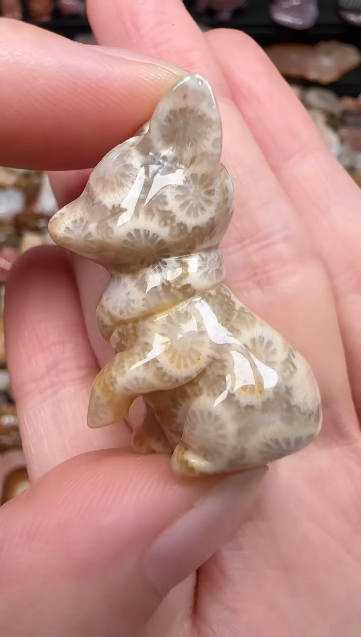 硅化珊瑚（珊瑚玉）未镶嵌颈饰856