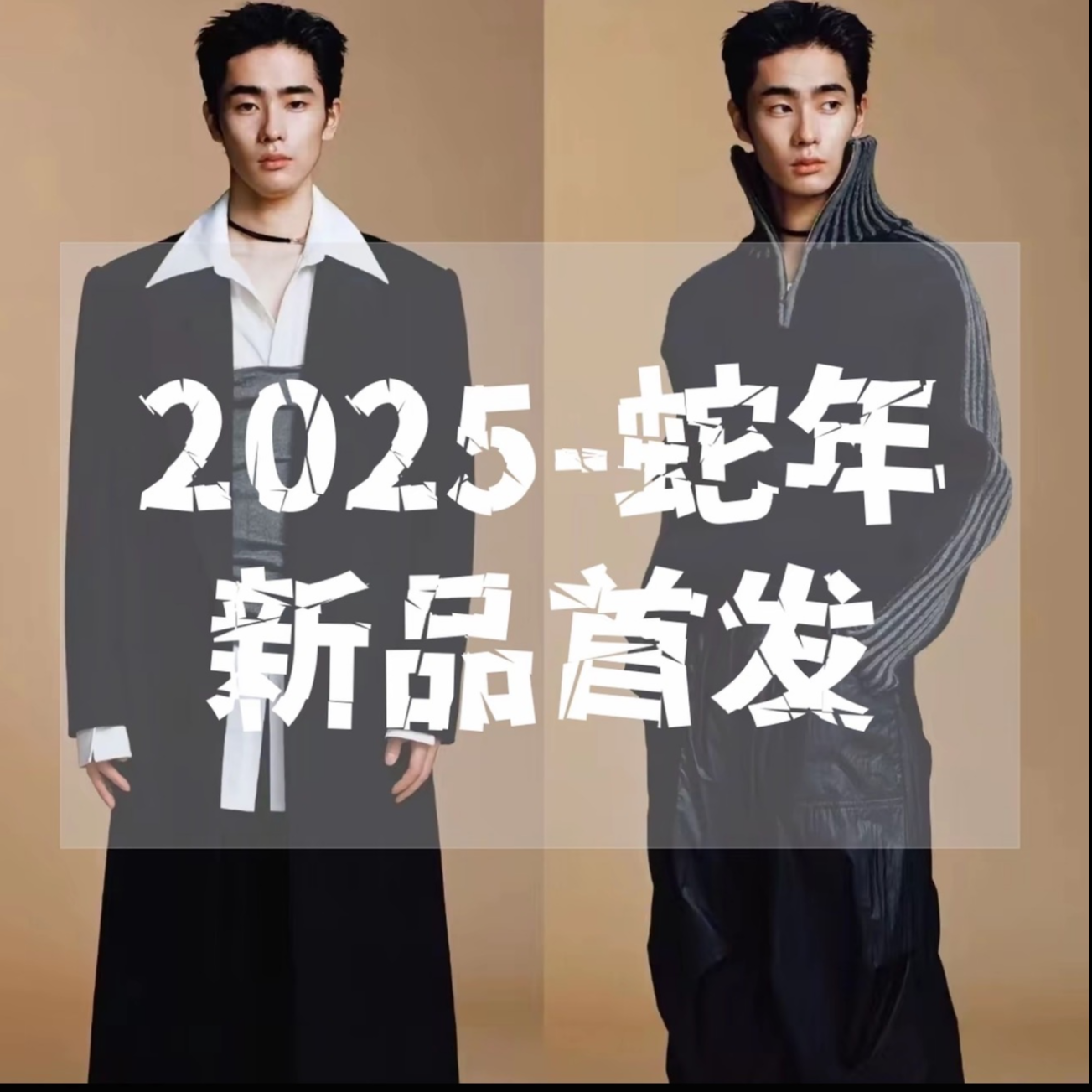 2138-2128【最伟大的作品】冬季加厚高奢百搭白鸭绒羽绒服（小邹）