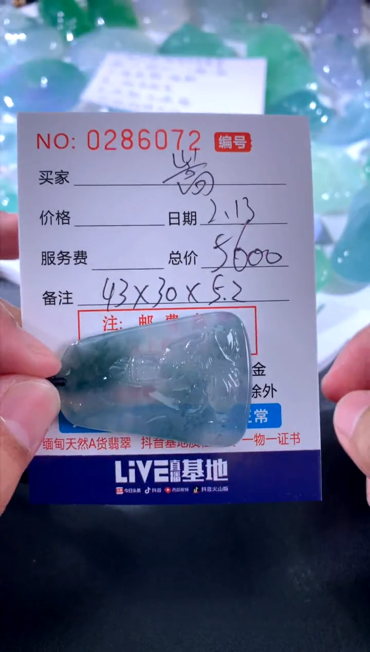 【闪购商品】翡翠颈饰未镶嵌嵩