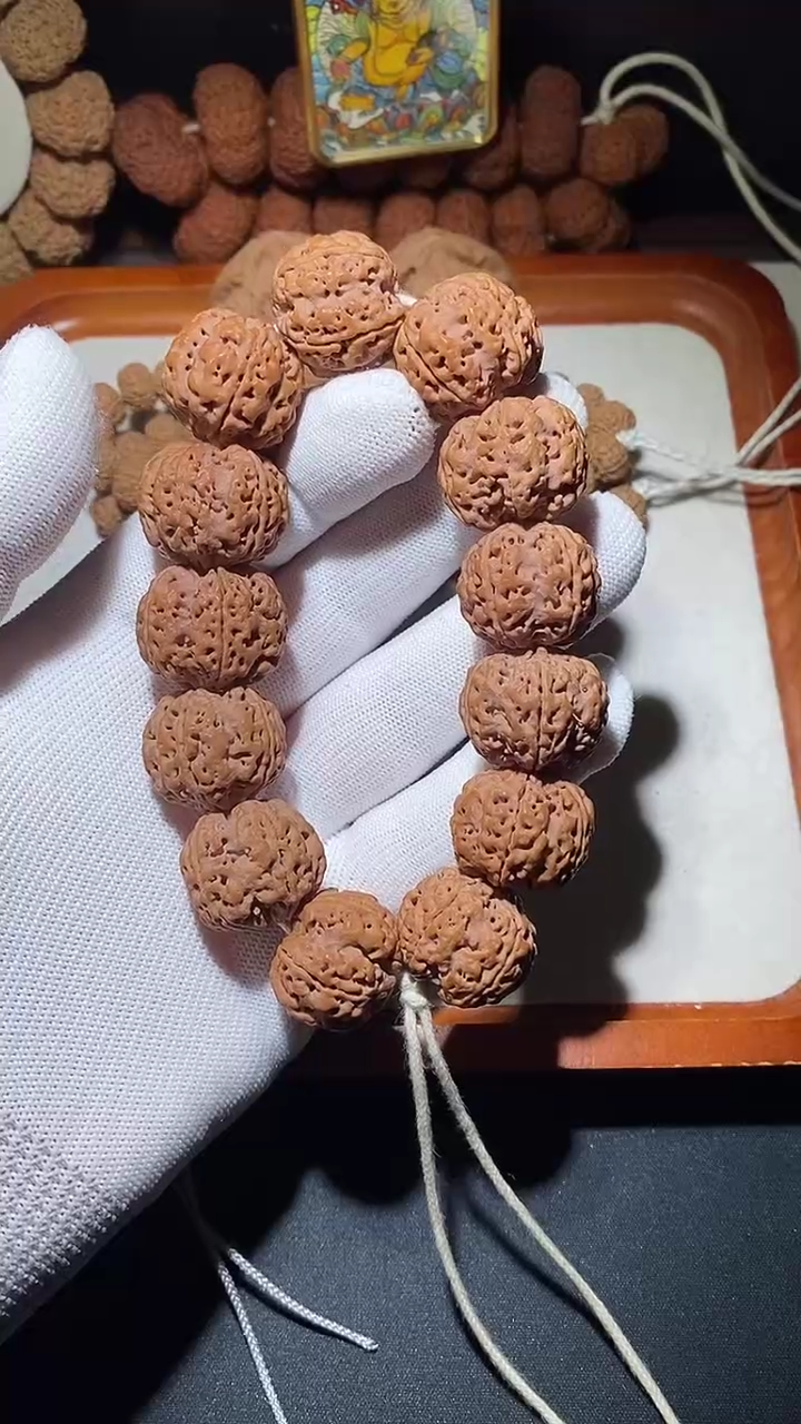 【闪购商品】金刚菩提手串闷墩粗筋双龙23