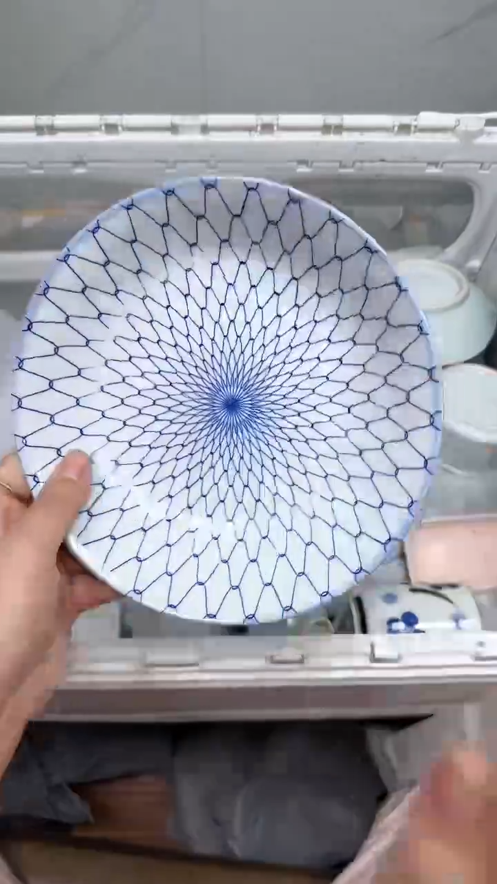 【闪购商品】234回流瓷器默认微瑕，18.8包邮