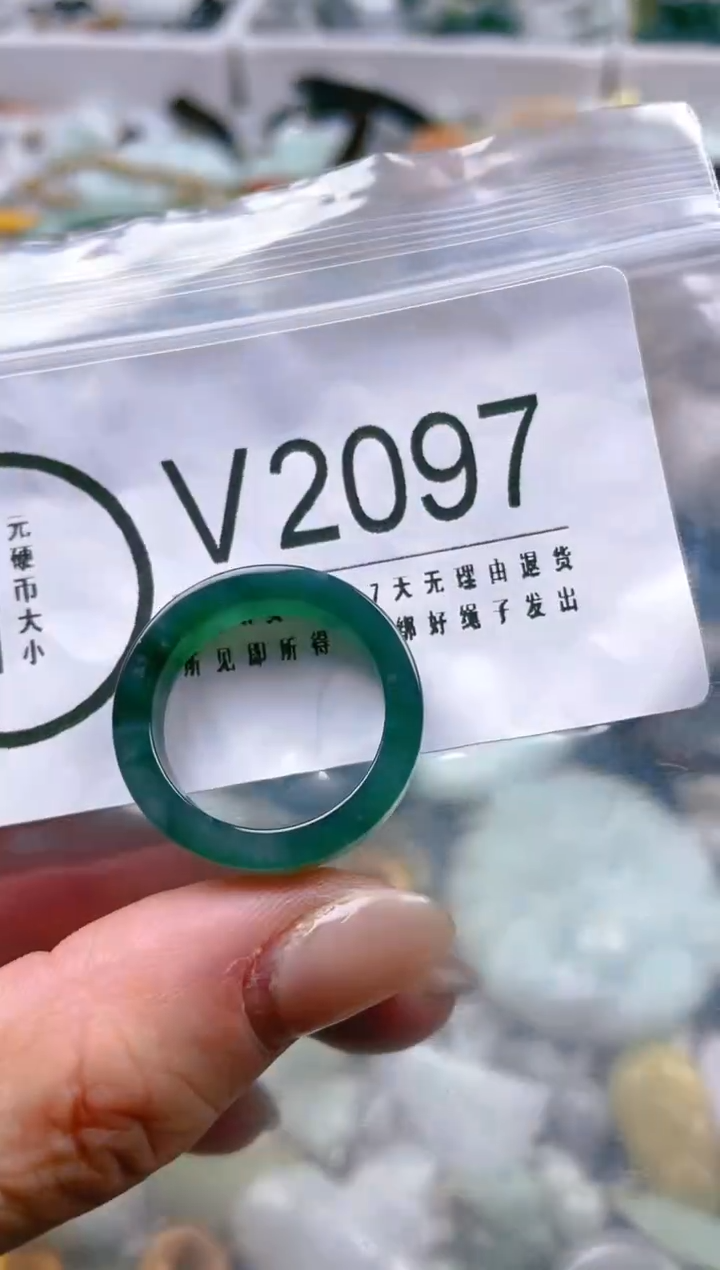 【闪购商品】翡翠颈饰未镶嵌/V/翡翠A货一图一物