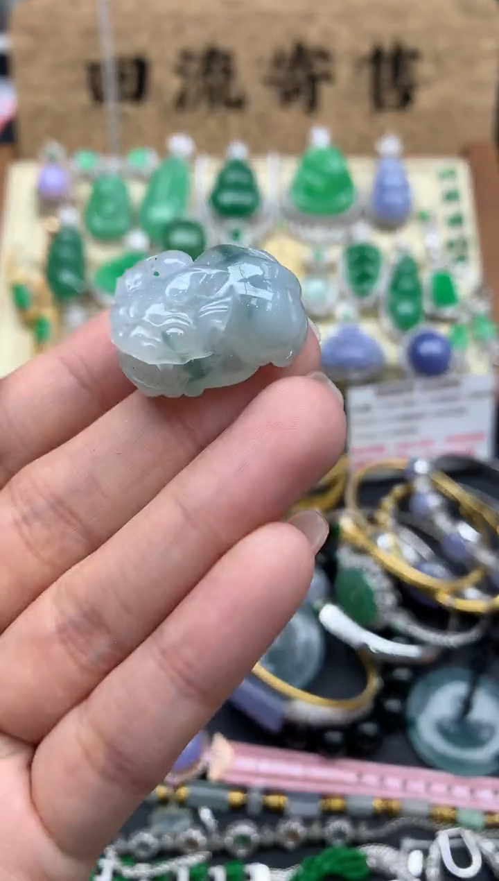 【闪购商品】翡翠颈饰未镶嵌322-中国好珍宝