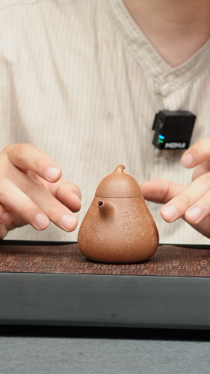 茶壶紫砂五堂 石梅梨壶