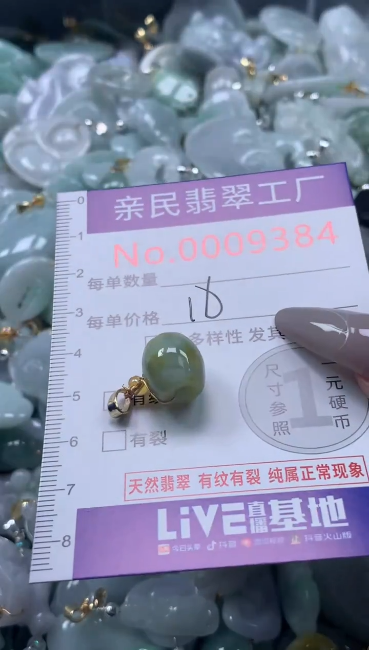 颈饰未镶嵌翡翠9384