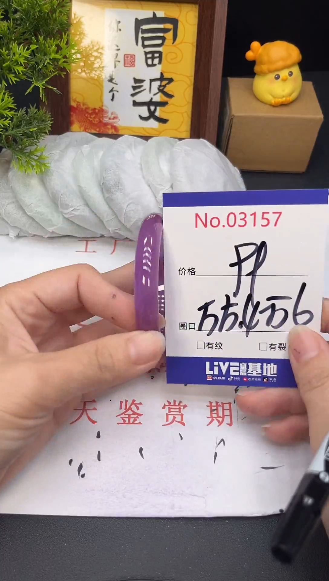 未镶嵌手镯翡翠3157