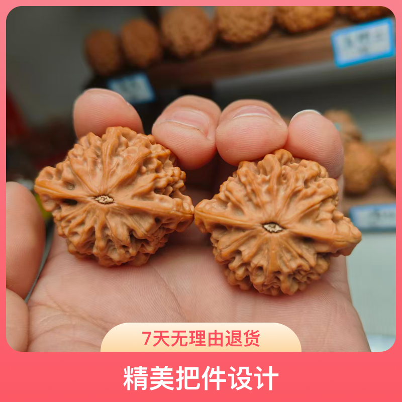 秦闷秦岭闷尖狮子头