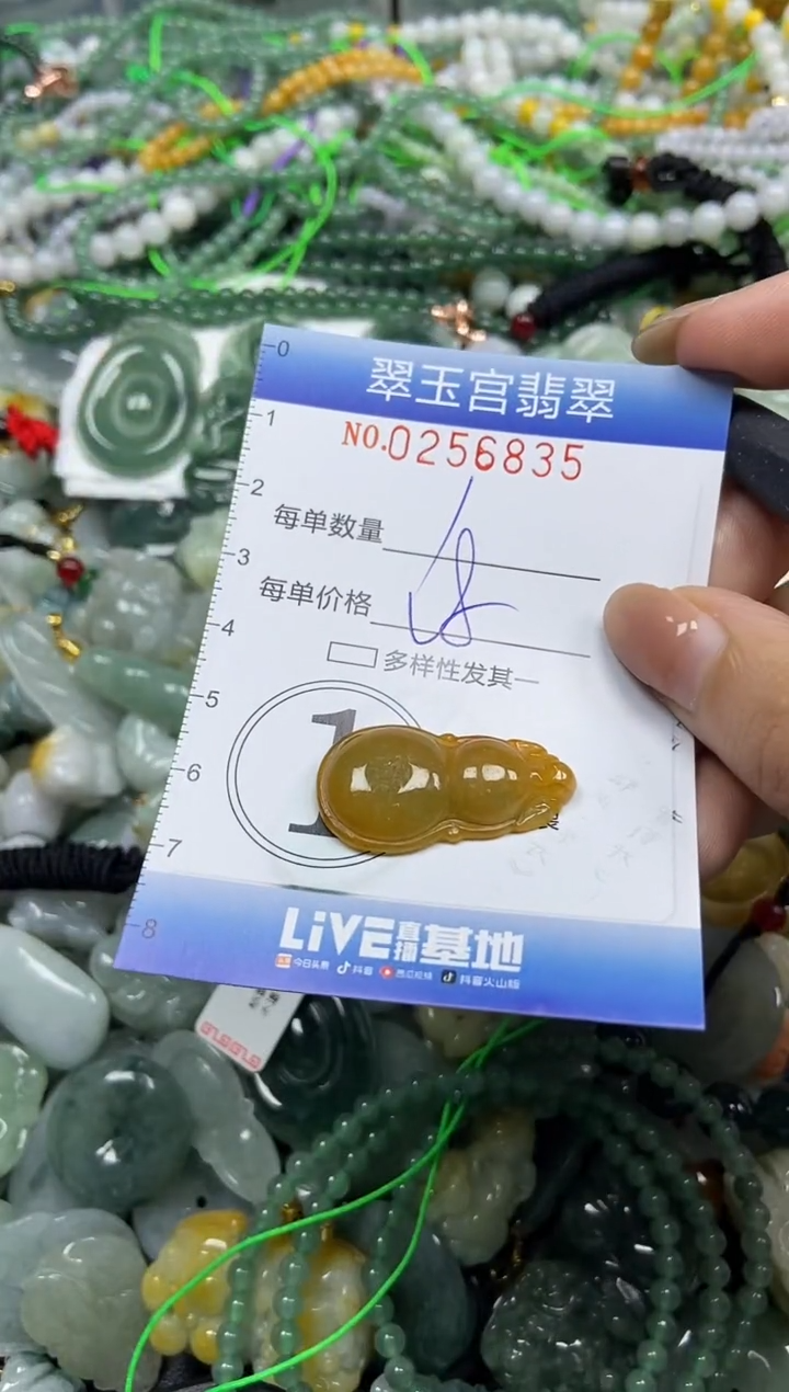 颈饰未镶嵌翡翠闪购C0256835