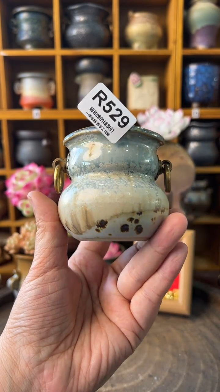 529 内口5【多肉花盆多肉盆】