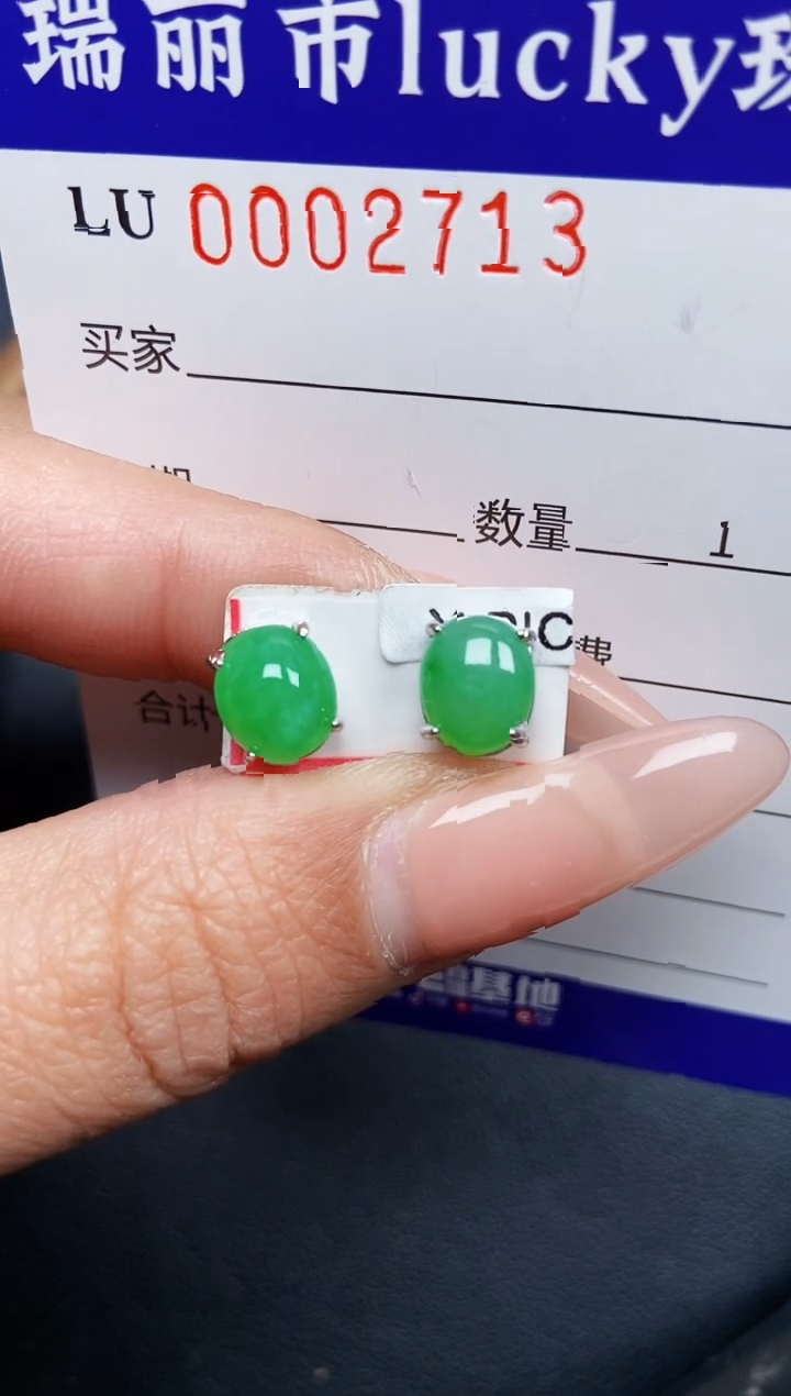 【闪购商品】翡翠颈饰银S925镶嵌2713