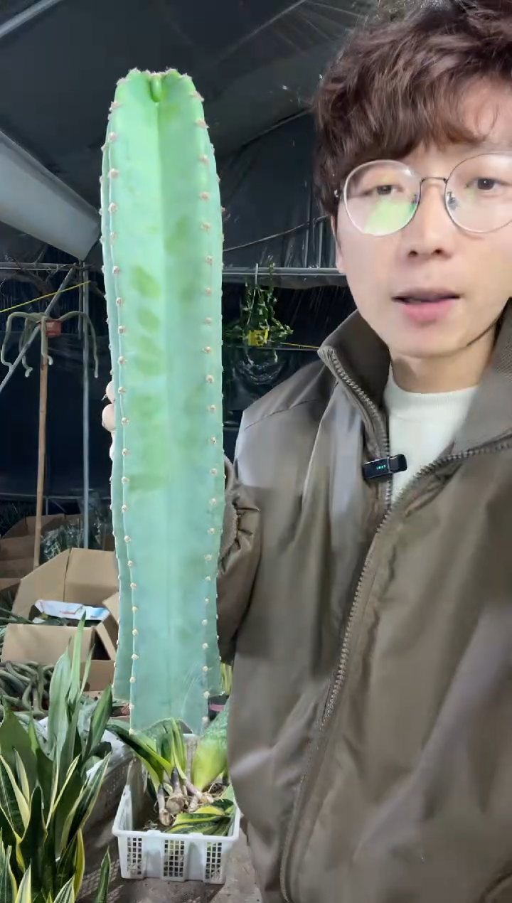 【闪购商品】40厘米无根量天尺12.8