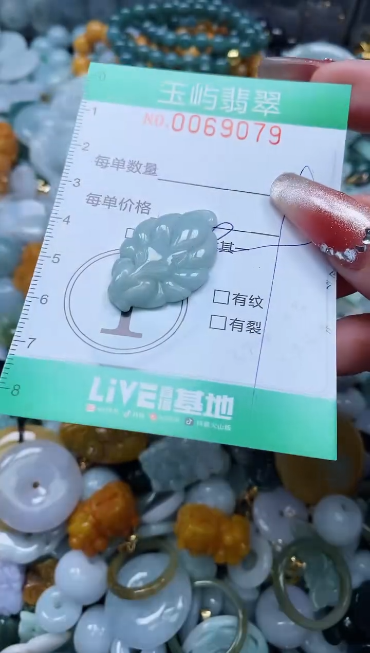 【闪购商品】翡翠颈饰未镶嵌闪购0069079