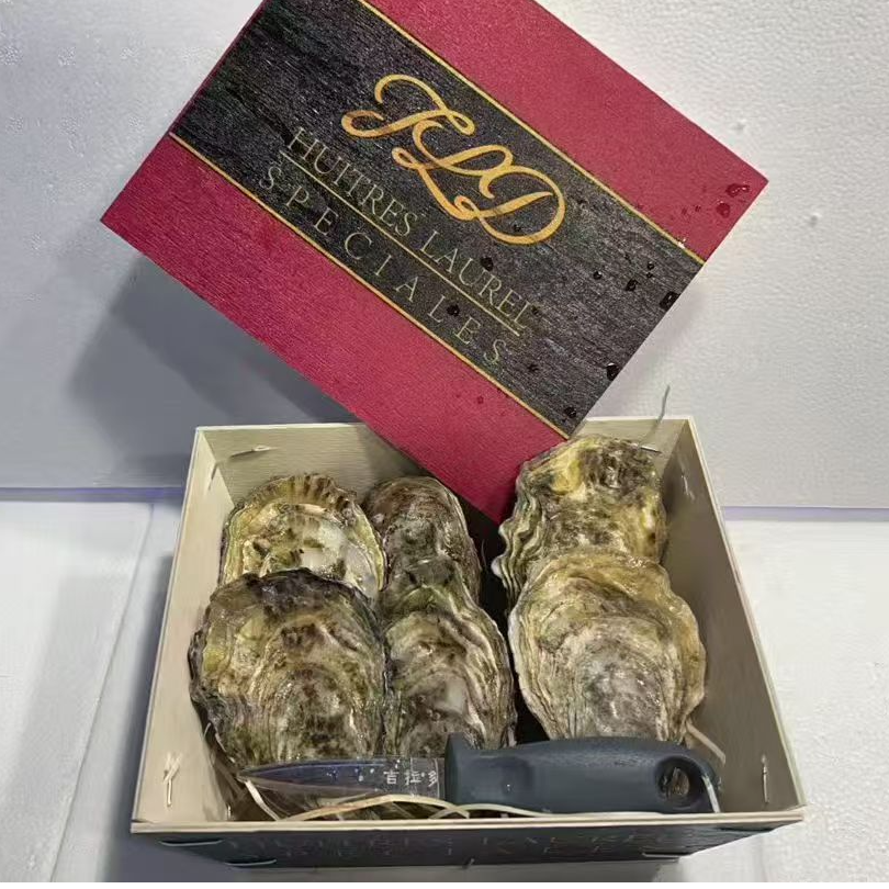 法国吉拉多黑钻金牌活鲜刺身级生蚝单个120-180G