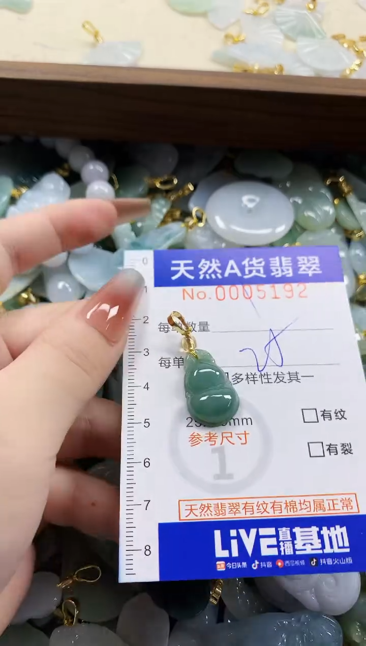 颈饰未镶嵌翡翠好**姐天然A货翡翠