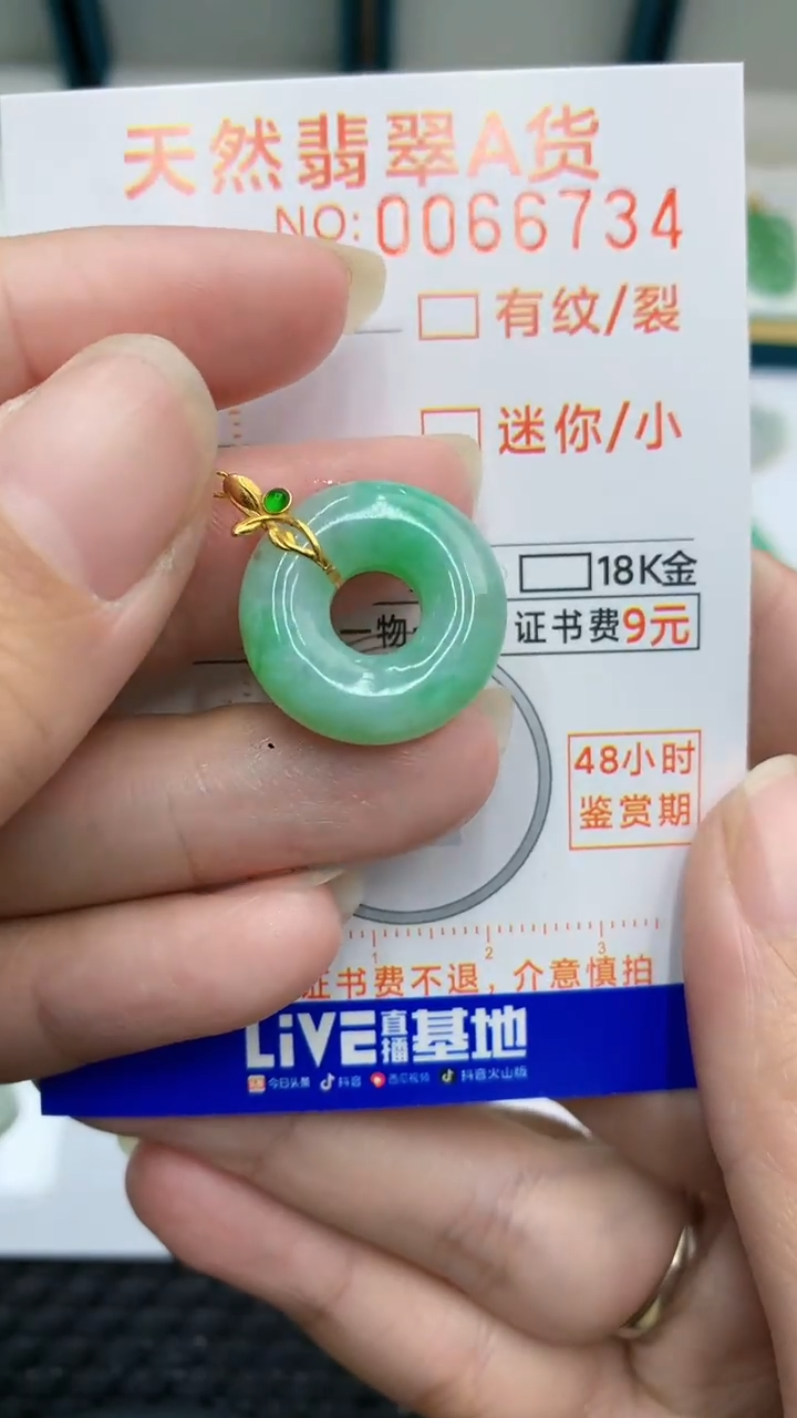 【闪购商品】翡翠颈饰18K金镶嵌            8