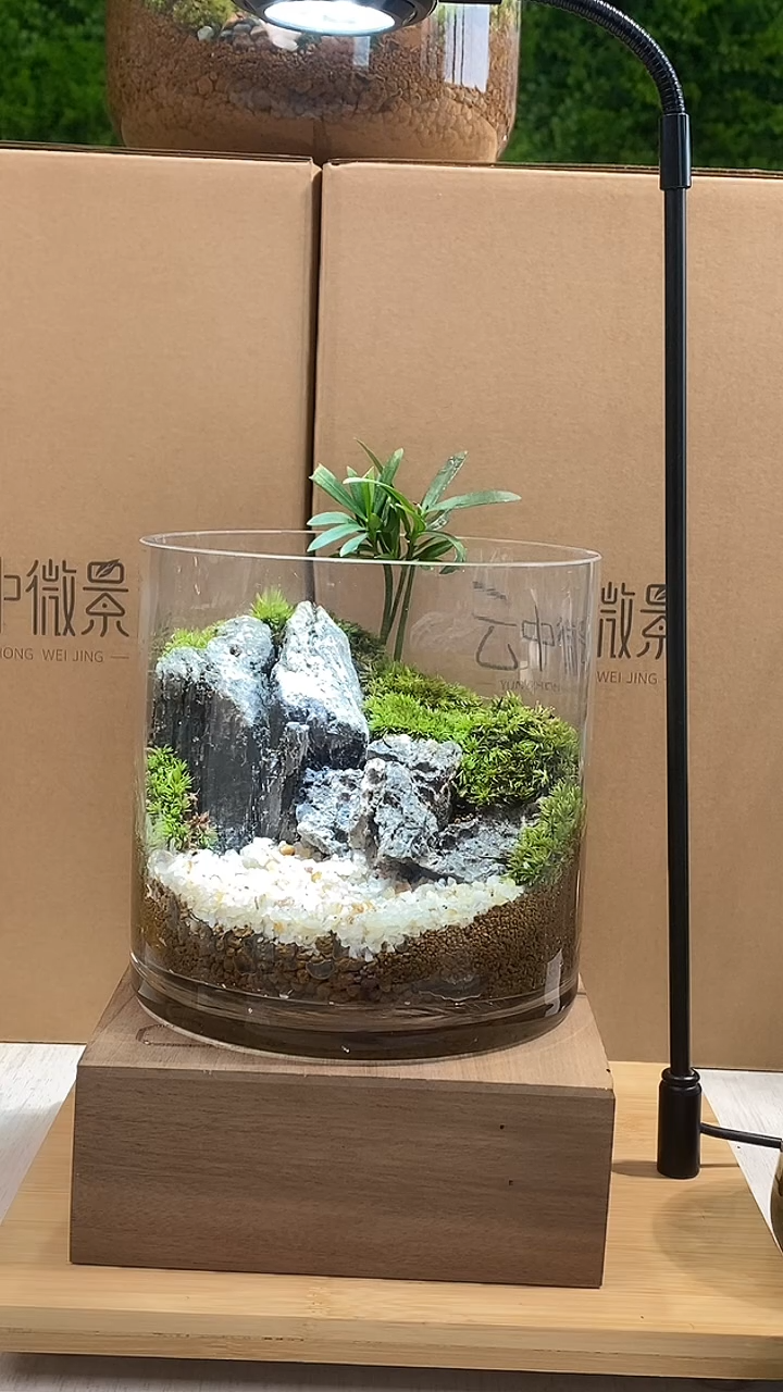 【闪购商品】孤品中圆缸微景观